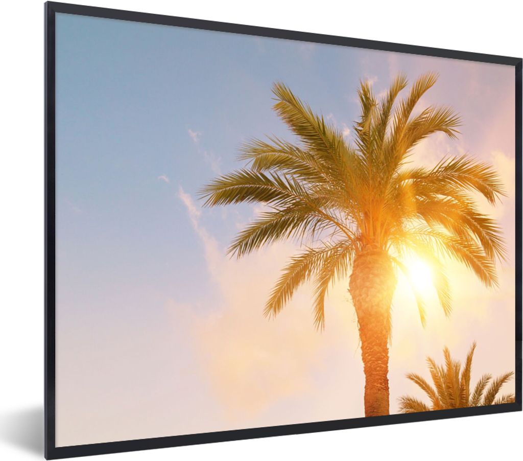 MuchoWow Gerahmtes Poster Palme - Sommer - Sonne - Tropisch 40x30 cm - Poster mit Schwarzem Bilderrahmen Wandposter Rahmen Foto Bilder - Kunstpos...