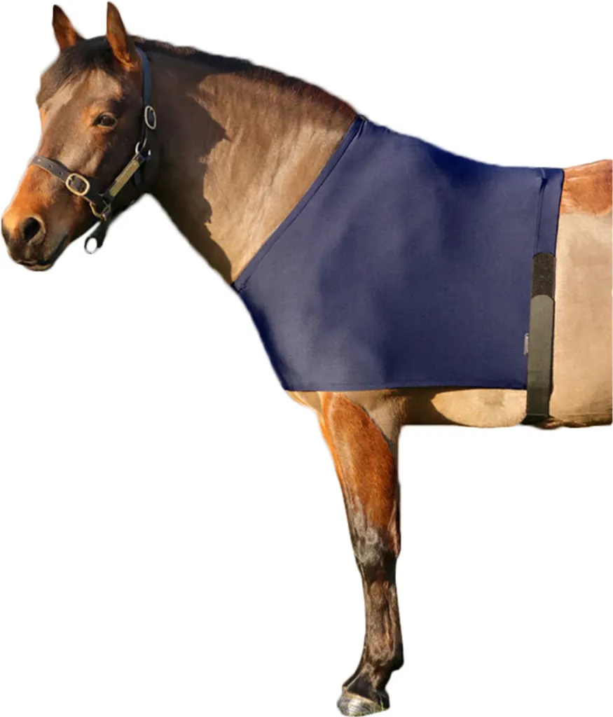 Gilet pour poney au box, protection anti-frottement élastique marine