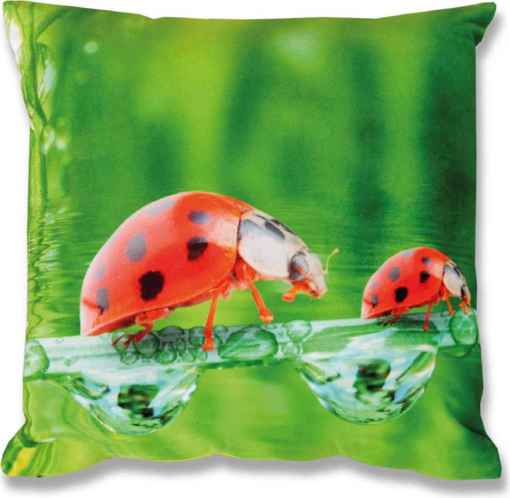 Kissenbezug Fotodruck Motiv in 40x40 cm, Flauschig weiche Kissenhülle mit Füllung, Motiv: Käfer