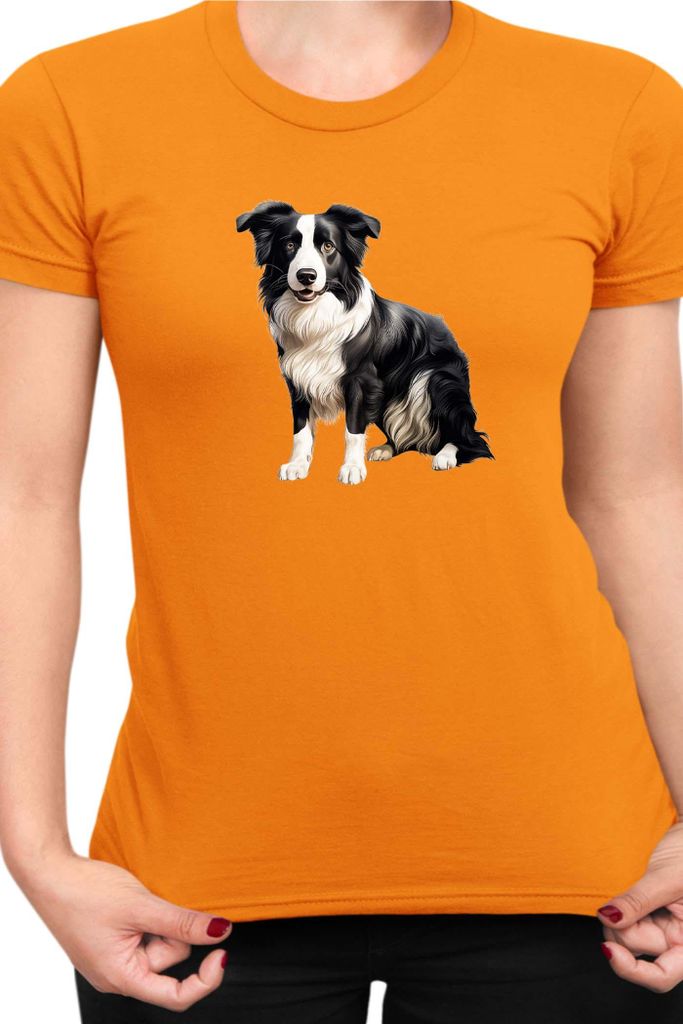 Damen T-Shirt Dogs Breeds Border Collie Dog Breed 008, Lady 2XL / Orange
