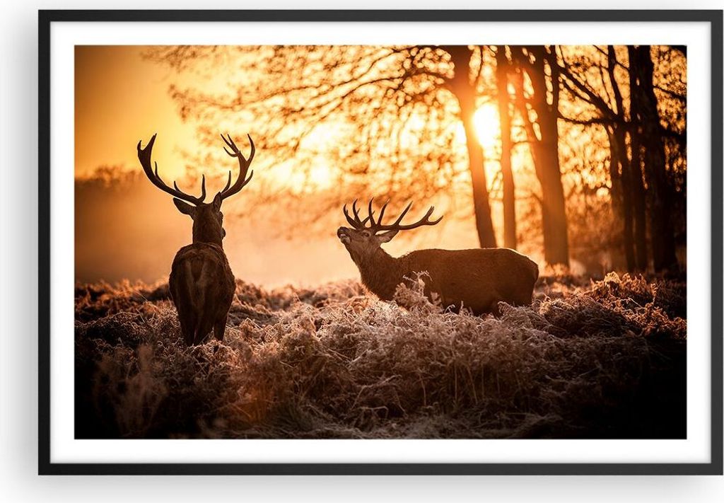 Gerahmtes Poster - Schwarzer Rahmen - Deer Heidekraut Tier - 91,5x61 cm - Wand Bild - Wanddeko - Wandbilder - Kunstposter - Wandposter - Bilderrahm...