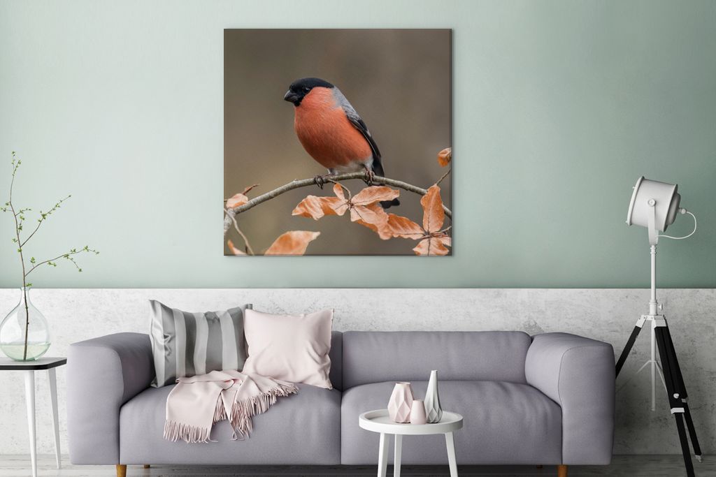 MuchoWow - Leinwandbilder - Vogel - Laub - Herbst - Gimpel -, Wandbild, Wanddeko Bilder Wohnzimmer, 90x90 cm