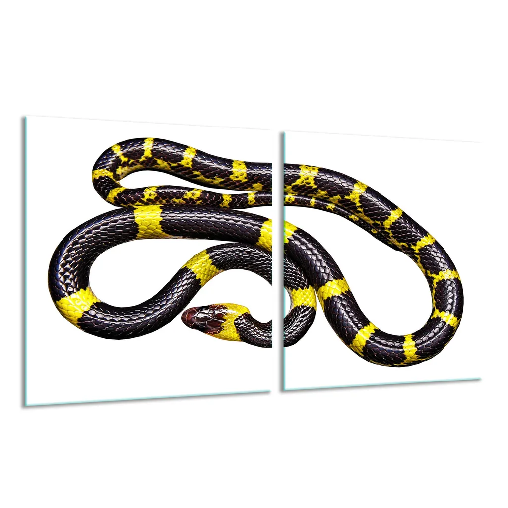 Copri Fornelli in Vetro Artistico 2 Pezzi 40x52 - Tema Animali Vivi - 10