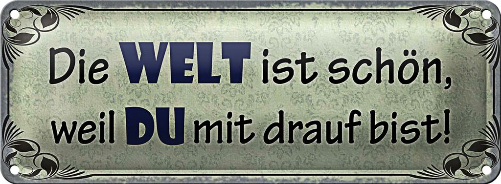 Blechschild Spruch 27x10cm die Welt schön weil Du mit drauf Dekoration