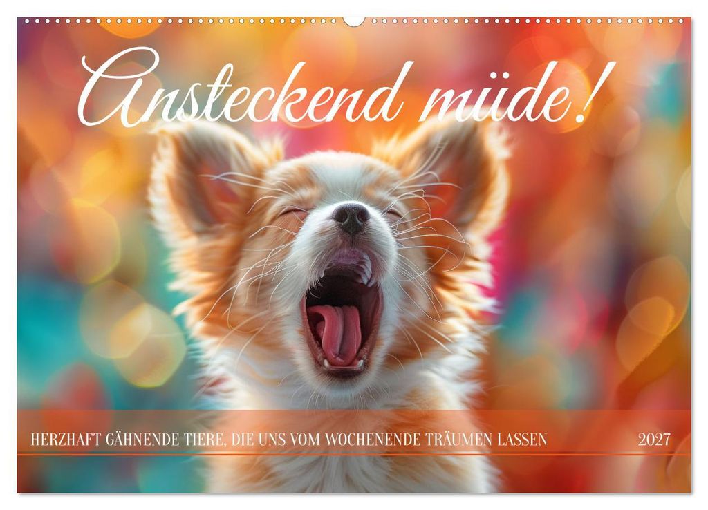 Ansteckend müde! (Wandkalender 2027 DIN A2 quer), CALVENDO Monatskalender