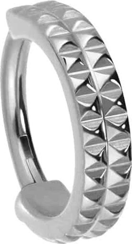 Ohrpiercing, Nasenpiercing, Septum Piercing Titan Segmentring Clicker NIETEN Silber Innendurchmesser: 8 mm