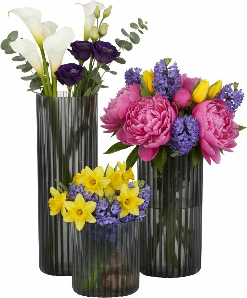 HowHomely | Pflanzenvase - Blumenvase - transparent - 3er Set - Dekovase - aus Kunststoff - Dekorativ