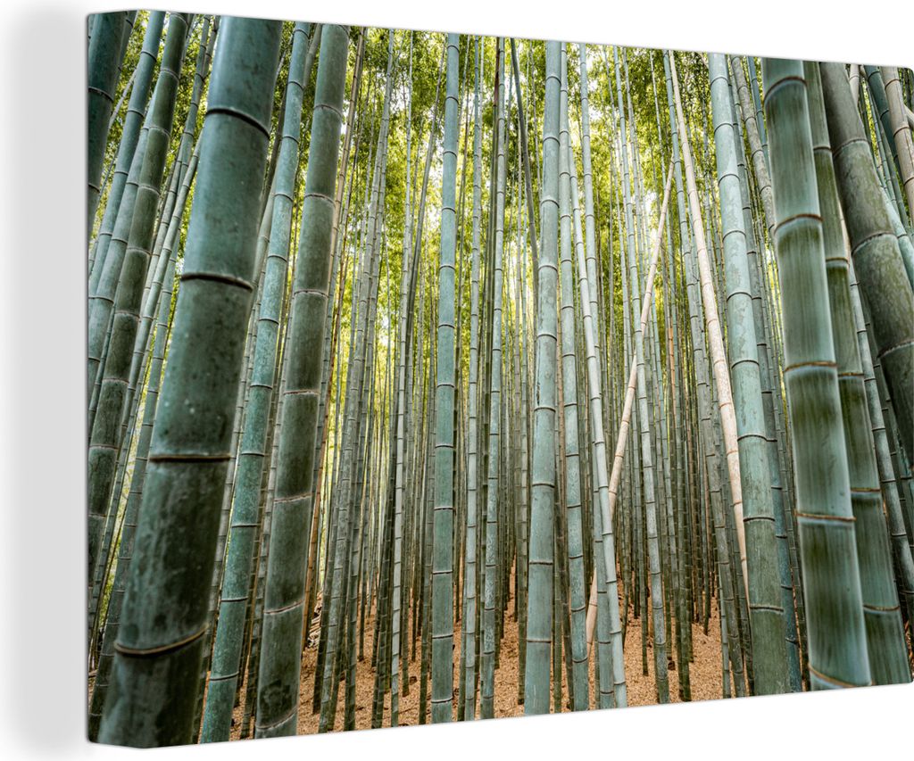 OneMillionCanvasses - Leinwandbilder - 140x90 cm, Bambus - Natur - Japan, Wandbilder Kunstdruck Wanddekoration