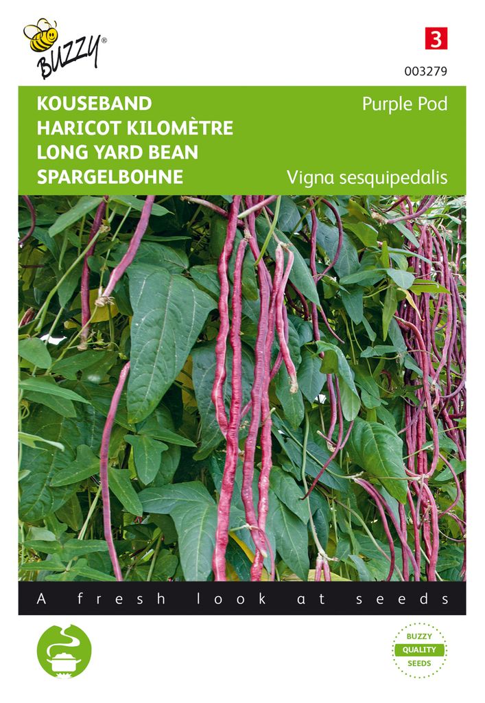 Bobby-Seeds Lady Di BIO-Bohnensamen – Portion Für Ca. 40 Pflanzen – Frühe, Fadenlose Prunkbohne