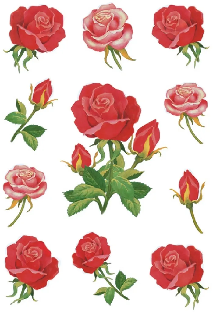 Etichette Decorative Decor Rosen - Set 10x3 Fogli Adesivi Rose per Scrapbooking