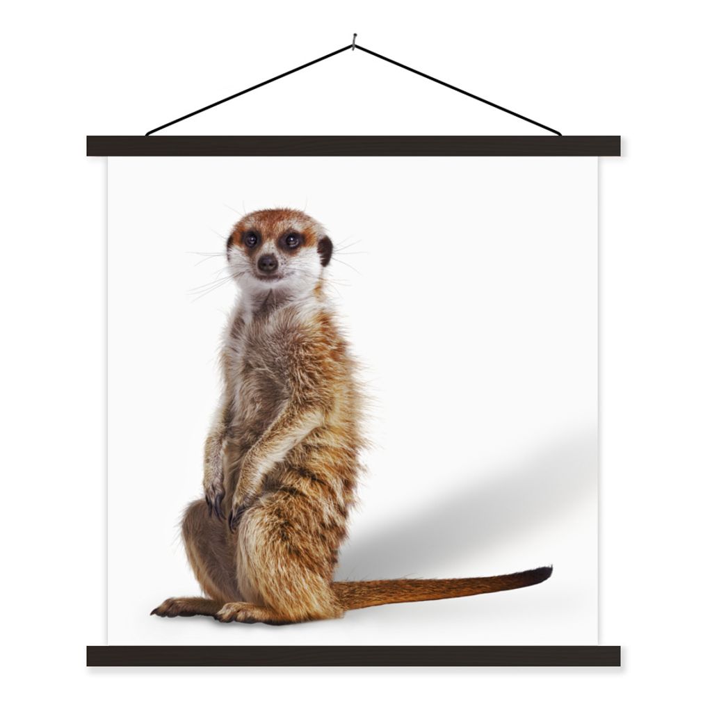 MuchoWow Textilposter Erdmännchen - Tiere - Fell 120x120 cm mit schwarzem Rahmen - Aufhängungsset