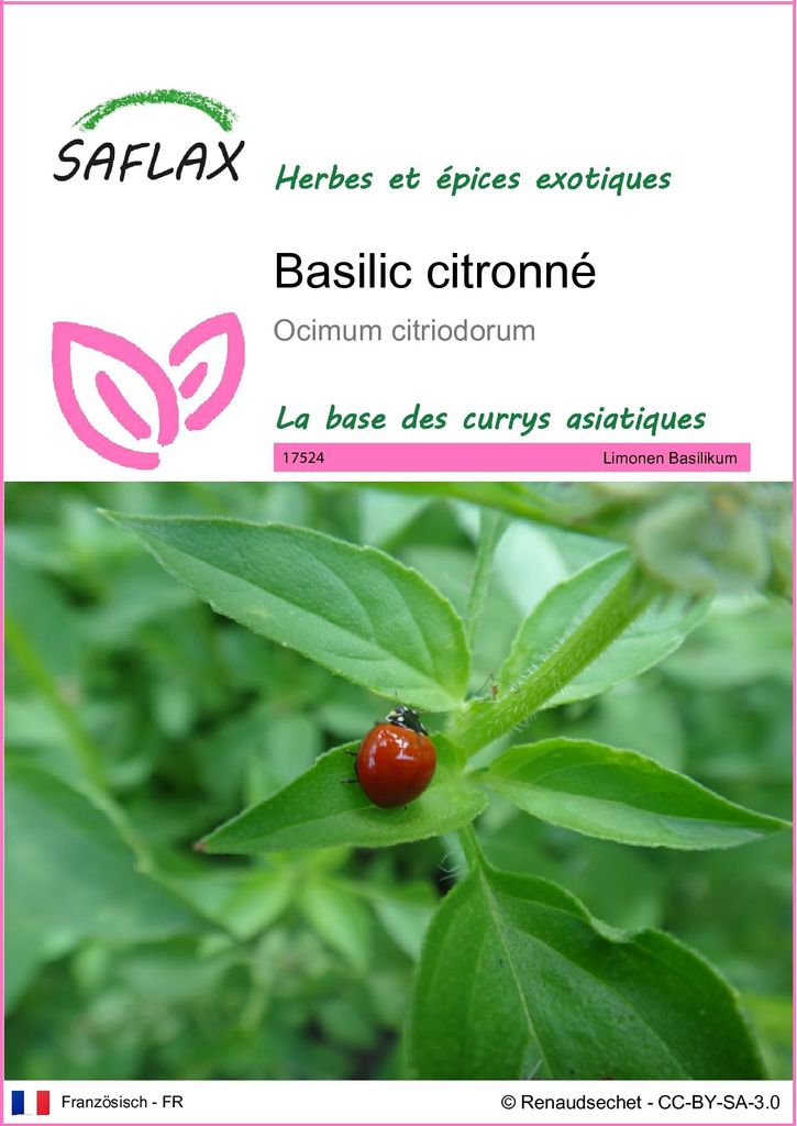 SAFLAX  - Basilic citronné - 200 graines - Ocimum Image du produit 