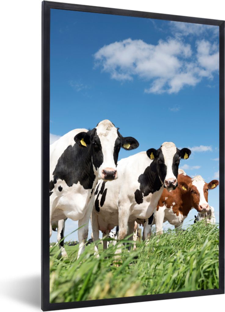 MuchoWow® Gerahmtes Poster Kühe - Landleben - Weide - Natur Produktbild 