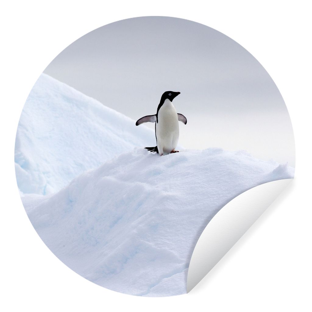 MuchoWow Runde Wandtattoo - Wandsticker Tapete Aufkleber Pinguin - Eis - Winter Ø 50 cm Selbstklebend und Repositionierbar - Wandaufkleber - Kre...