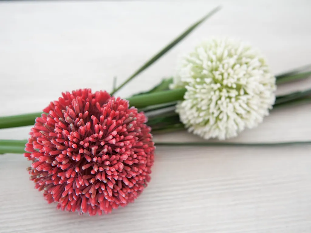 Allium Artificiale Rosso Europalms 55cm | Arredo Interni Alta Qualità - 3