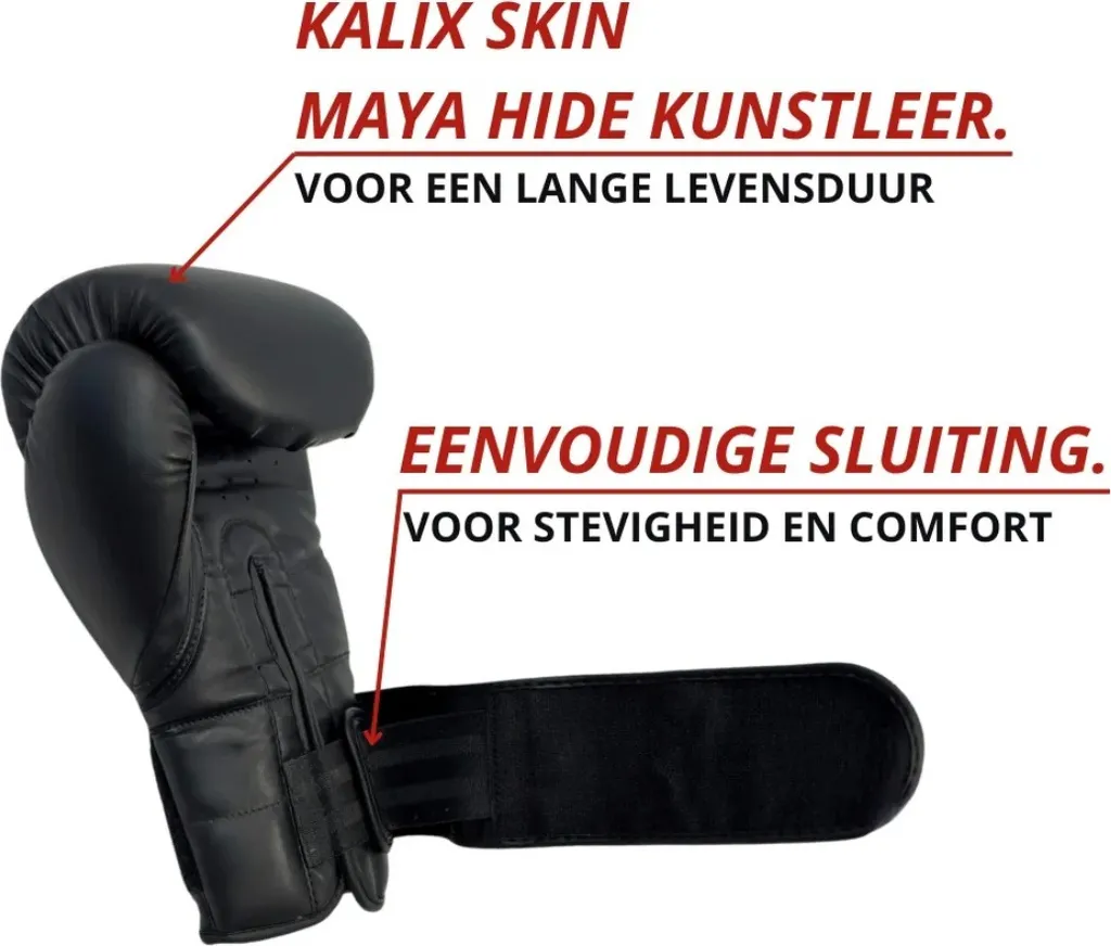 Gants de Boxe Sparring en Simili Cuir Résistant avec Mousse de Protection - 2