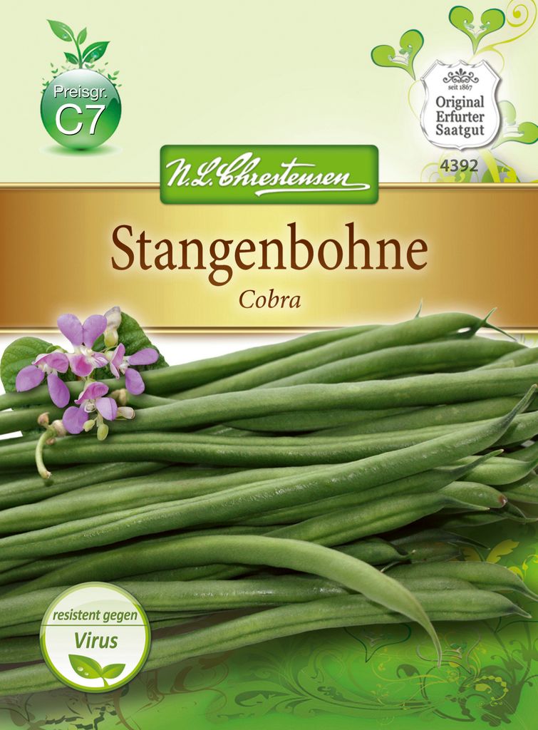 Chrestensen Stangenbohne 'Cobra' Saatgut