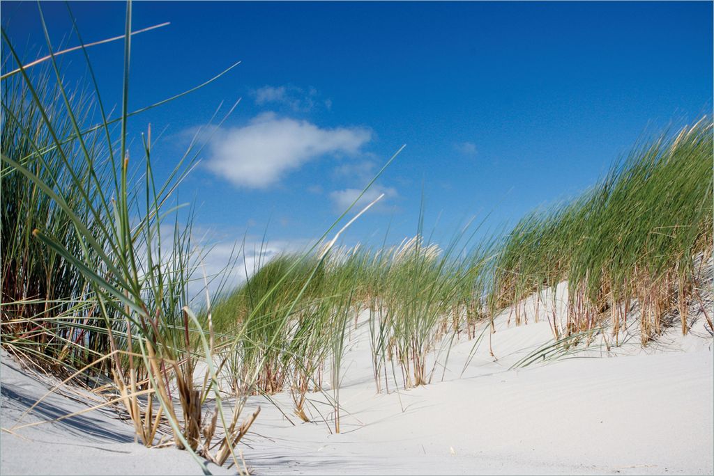 Wallario Premium Vliestapete Fototapete Düne am Strand unter blauem Himmel in der Größe 400 x 267 cm, extra dick, wird in 5 Teilen geliefert