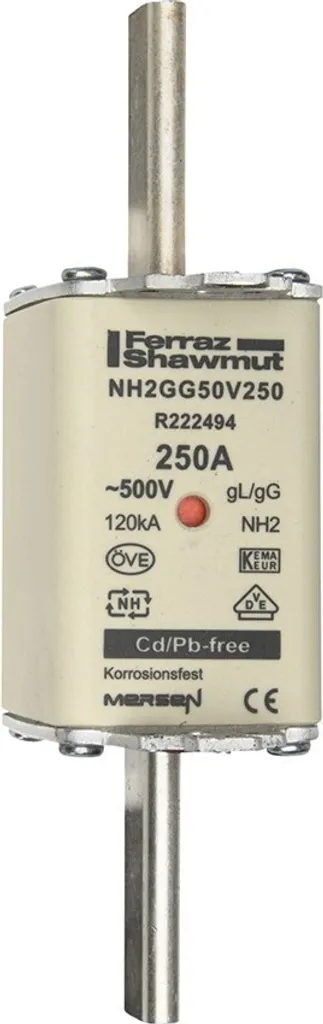 Cartouche Fusible Industrielle NH2 250A gG 500V Taille 2 HR2