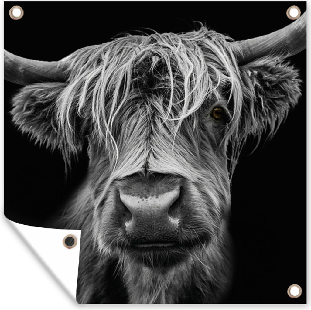 MuchoWow 100x100 cm Outdoor-Poster Gartendeko Sichtschutz Garten Poster für den Garten Schottischer Highlander - Hörner - Schwarz - Weiß - Kuh...