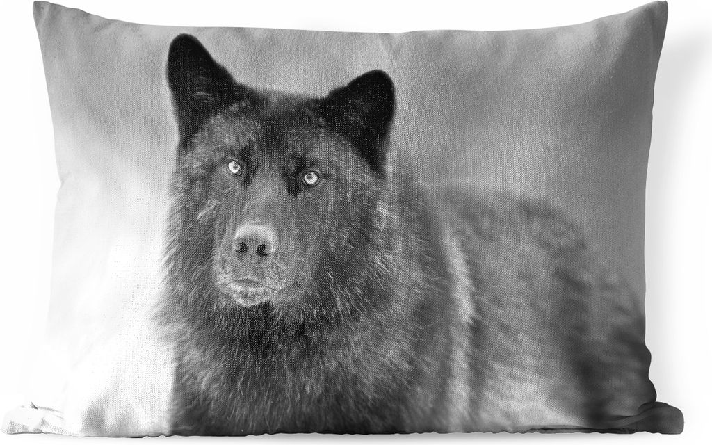 MuchoWow Outdoor Kissen - Wolf - Nahaufnahme - Schwarz - Weiß - 50x30 cm - Wetterfest - Lounge Kissen - Sofa kissen - Wohnzimmer Dekoration