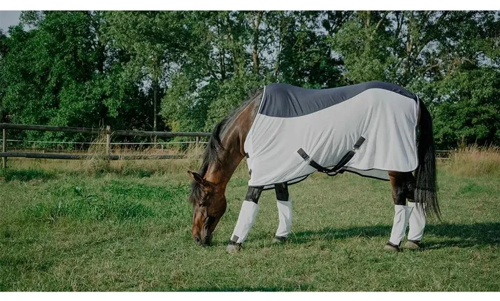 Protection cheval pour l'été : Couverture Equitheme Flycool 135-183 cm - 2