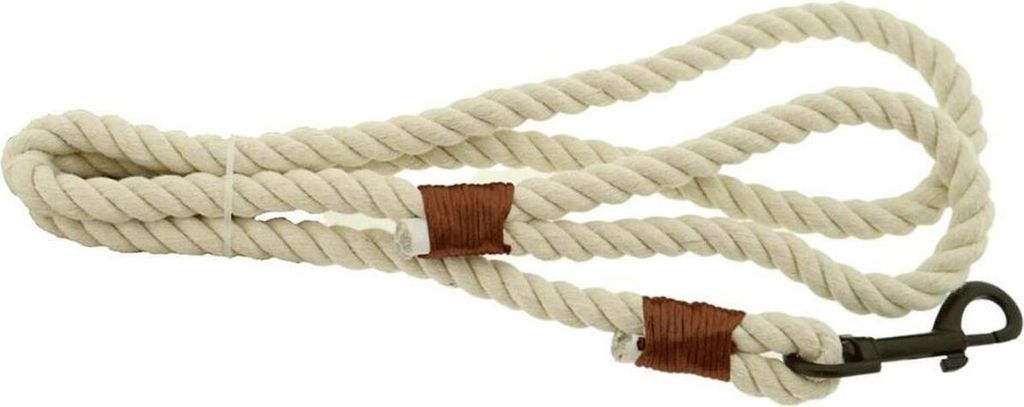 Hundeleine 120 cm lang, 1,5 cm breit aus Kunststoff Beige mit praktischem Verschluss