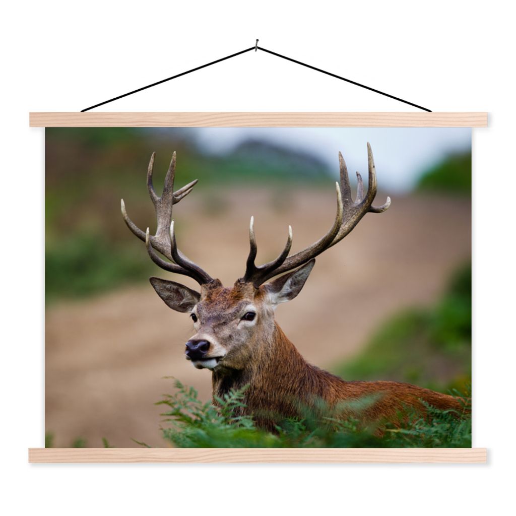 MuchoWow Textilposter Hirsche - Farne - Natur 40x30 cm mit holzfarbenen Rahmen - Bilder