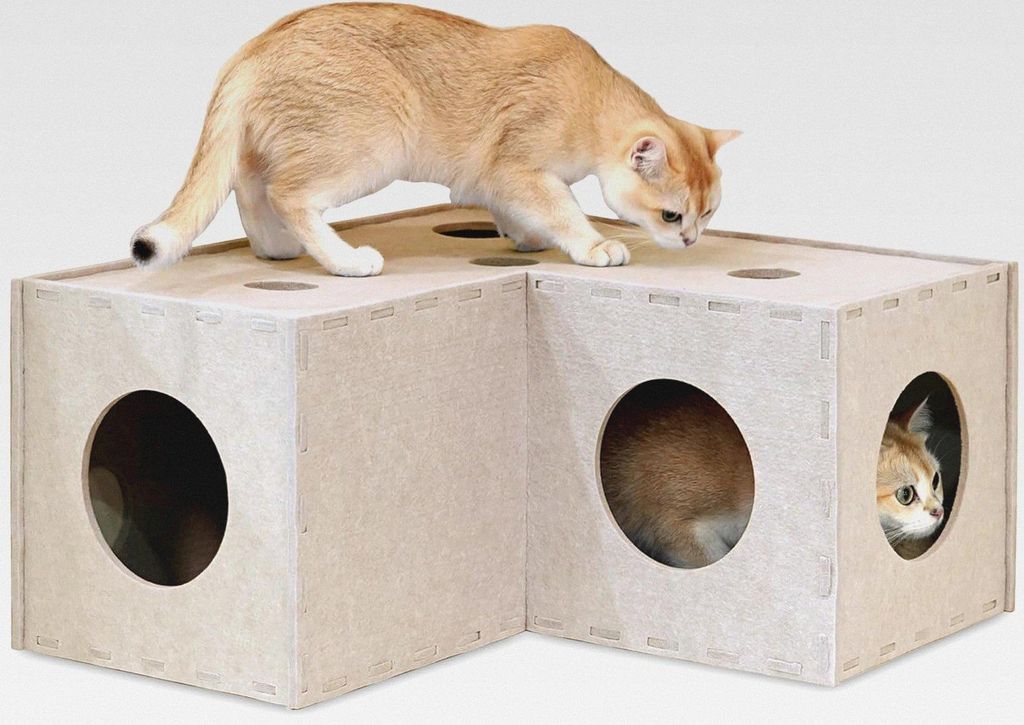 Katzentunnel, Original Katzenversteck Höhle für Indoor-Katzen, große Kätzchen-Spielröhren und Tunnel, weiches Filz-Katzenspielzeug mit interak...