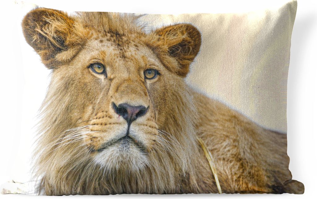 MuchoWow Outdoor Kissen - Löwe - Weiß - Porträt - 60x40 cm - Wetterfest - Lounge Kissen - Zierkissen - Kissen für Innenräume