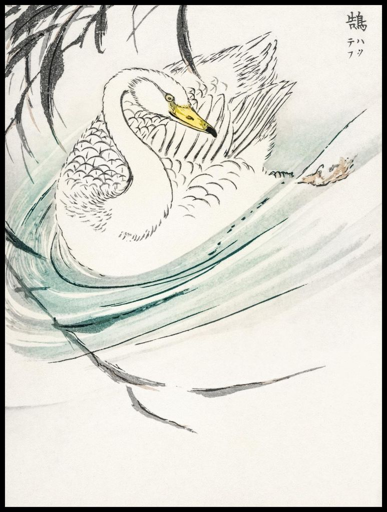 Plakat 75x100cm Wooper-Schwan, Japanischer Vintage Kashu für das Wohnzimmer