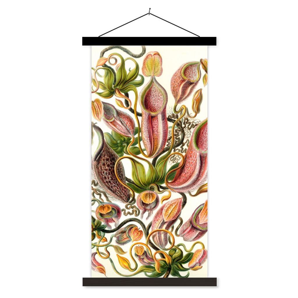 MuchoWow Textilposter Design - Fleischfressende Pflanze - Botanisch - Ernst Haeckel 60x120 cm mit schwarzem Rahmen - Magnete