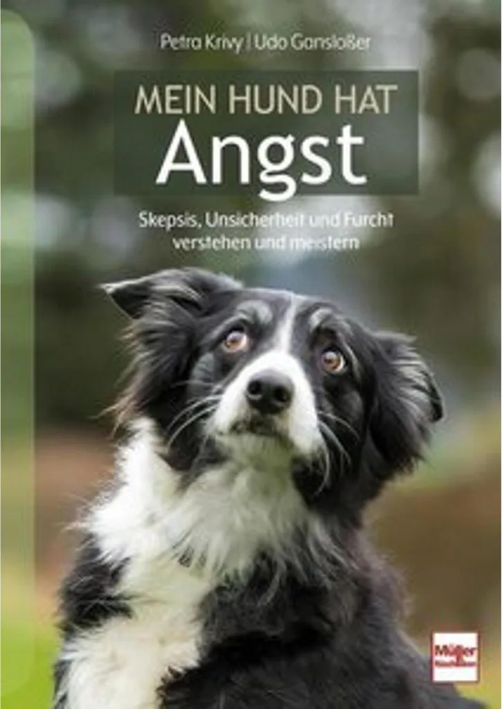 Guide Mein Hund hat Angst : comment rassurer un chien terrorisé par l'orage