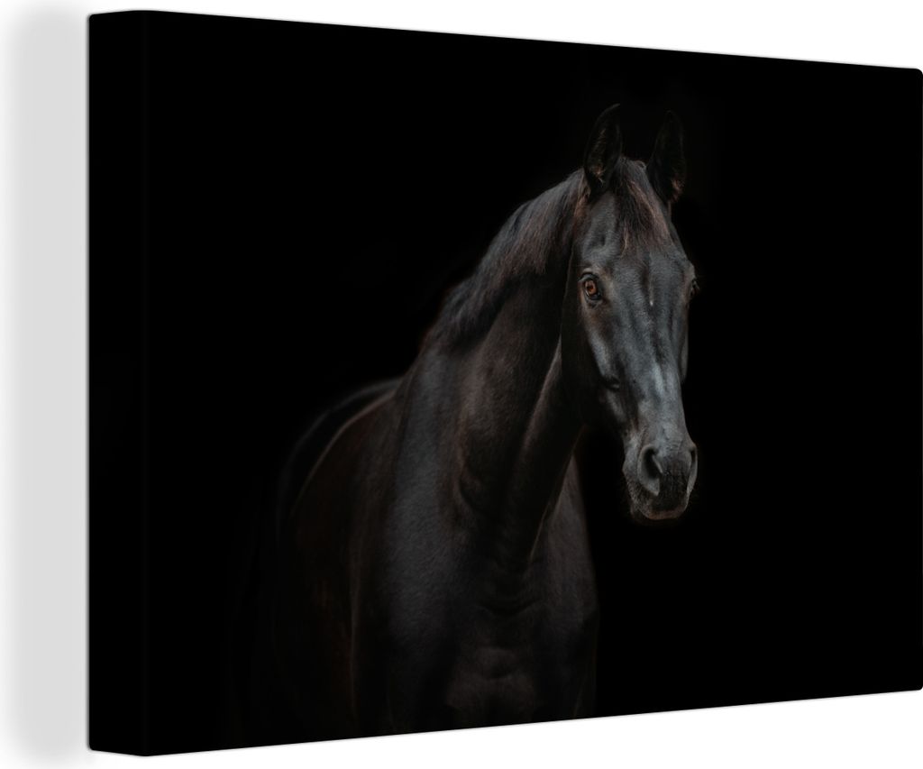 OneMillionCanvasses - Leinwandbilder - 150x100 cm, Pferd - Nutztier - Schwarz, Wandbilder Kunstdruck Wanddekoration