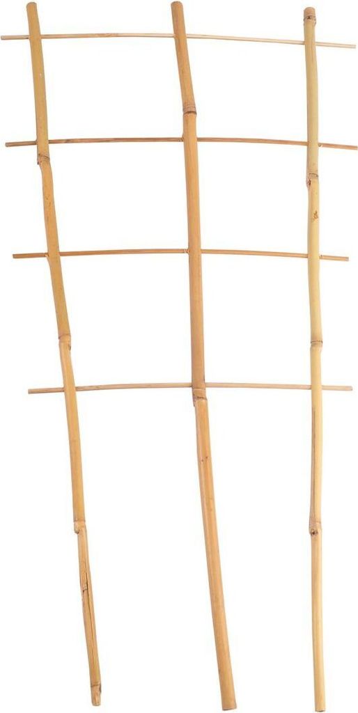 BURI Bambus Spalier 60cm Rankhilfe Blumenstütze Rankgitter Kletterhilfe Topfpflanzen