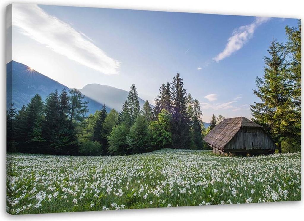 Leinwandbild holzhaus zwischen den bäumen 60x40 cm Feeby blau wandbild bereit zum aufhängen