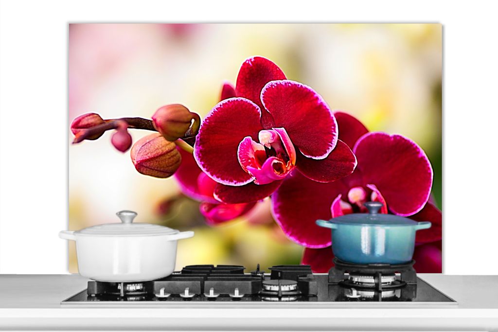 KitchenYeah Spritzschutz Küche - Küchenrückwand - Wandschutz für Herd und Spüle - Nahaufnahme von roten Orchideen vor einem unscharfen Hinte...