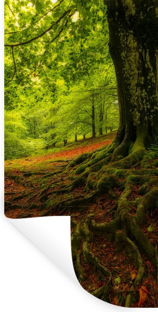 MuchoWow Wandtattoo Wandsticker Wandaufkleber Baum - Wald - Herbstblätter 60x120 cm Selbstklebend und Repositionierbar - Selbstklebend - Fototap...