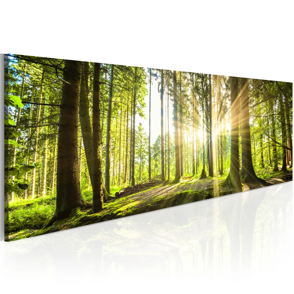 Décoration murale Forêt Impression sur toile XXL Image Nature 135x45
