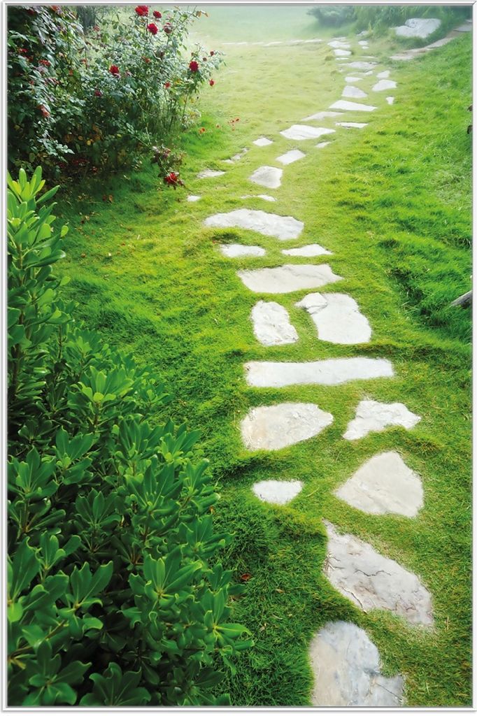 Wallario Wandbild Steinweg im Grünen, Größe: 61 x 91,50 cm, Poster mit weißem Aluminiumrahmen
