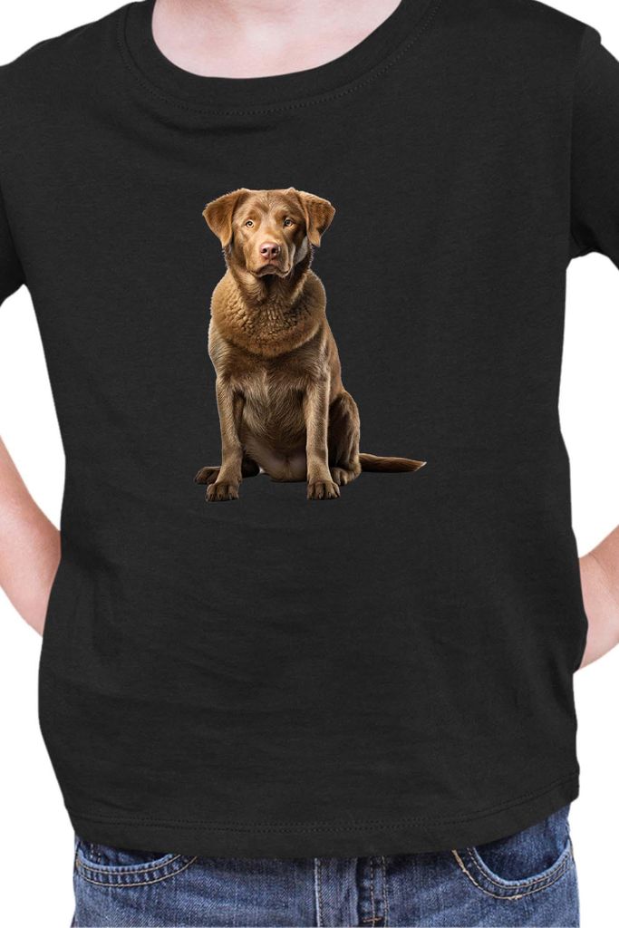 Kinder T-Shirt Dogs Breeds Chesapeake Bay Retriever Dog Breed 007, 12-13 Jahr - 152 / Schwarz