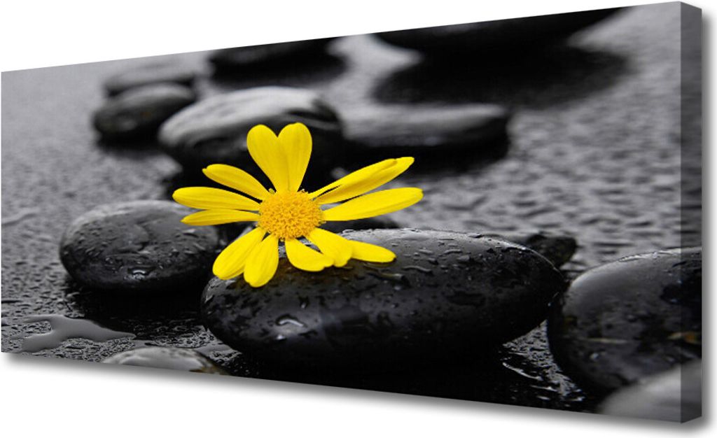 Tulup Leinwand-Bilder 125x50 Wandbild Canvas Kunstdruck Produktbild 