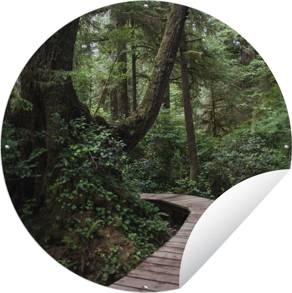 MuchoWow Gartenposter Outdoor-Poster Rund Holzbrücke in den moosbewachsenen Wäldern Costa Ricas Ø 90 cm Gartendeko Rundes Poster draußen