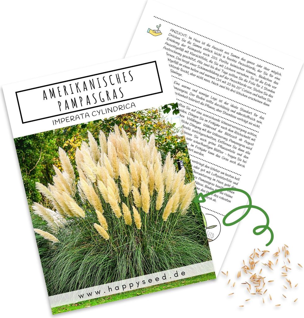 Amerikanisches Pampasgras (Cortaderia selloana) - Produktbild 