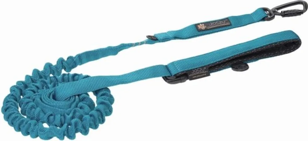 Laisse pour Chien Sportive Turquoise Idéale Jogging et Randonnée