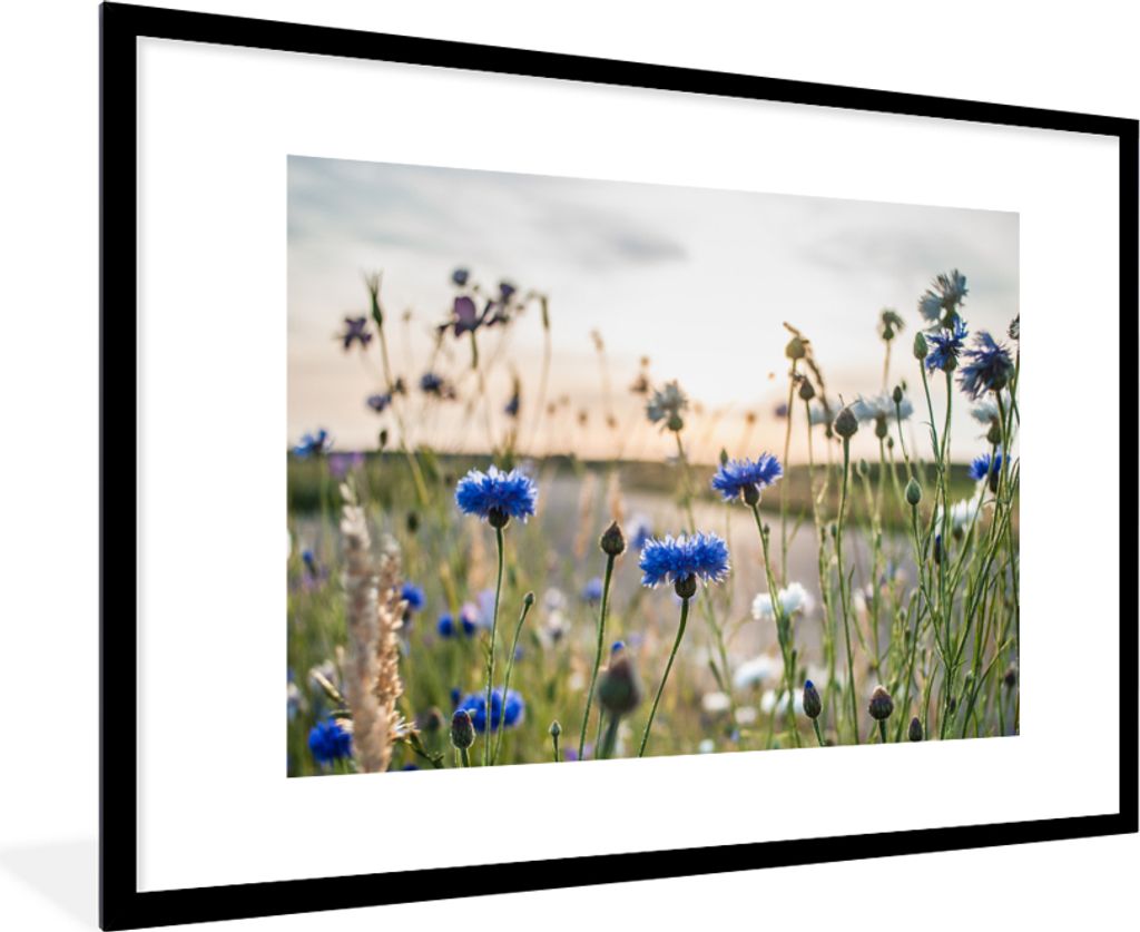 MuchoWow Gerahmtes Poster Blumen - Sommer - Kornblume - Blau - Sonne - Wolken 90x60 cm - Poster mit Schwarzem Bilderrahmen Wandposter Rahmen Foto...