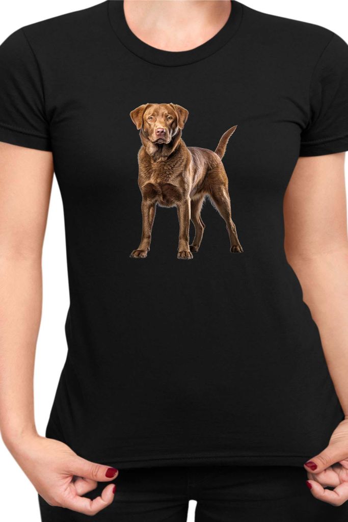 Damen T-Shirt Dogs Breeds Chesapeake Bay Retriever Dog Breed 006, Lady S / Schwarz
