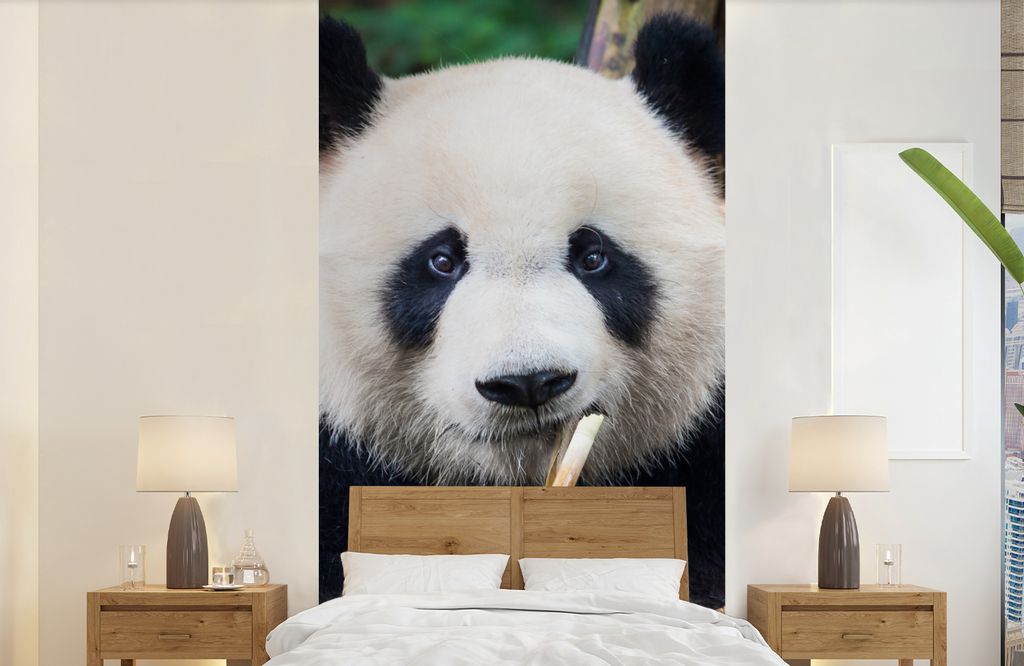 MuchoWow Fototapete für Wohnzimmer oder Schlafzimmer Wandtapete Vinyl Motivtapete Panda - Bambus - Natur - 120x240 cm - Hintergrundbild