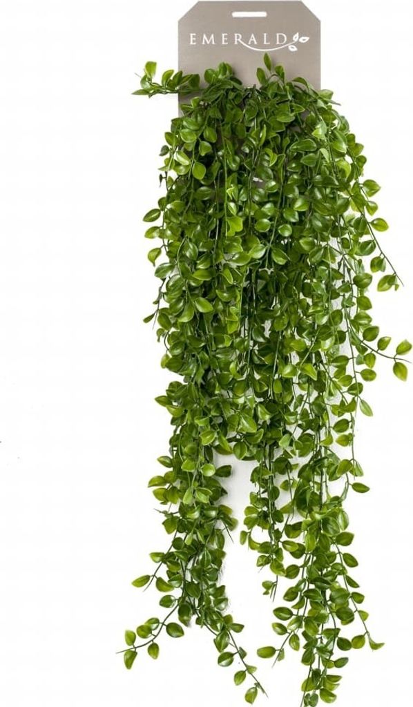 Emerald Künstlicher Kletter-Ficus künstlich 80 cm