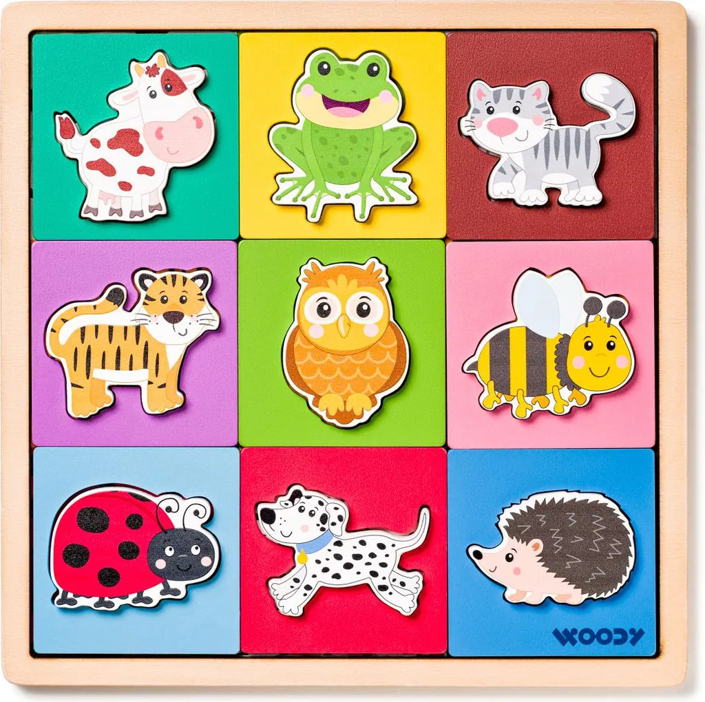 Puzzle à Encastrement Animaux et Couleurs - Premier Jeu de Société
